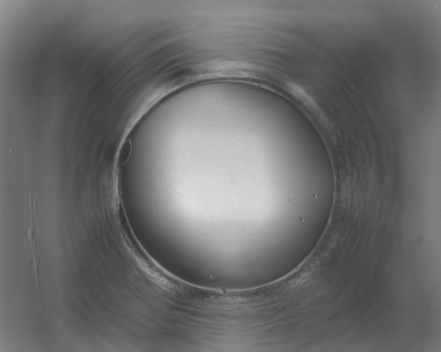 X0000054371370200508121529