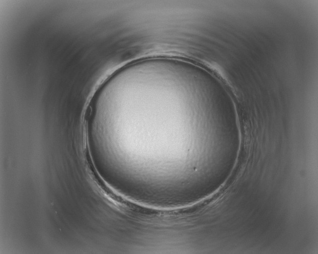 X0000054371371200508121529