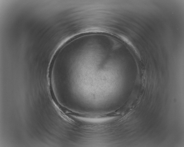 X0000054371372200508121529