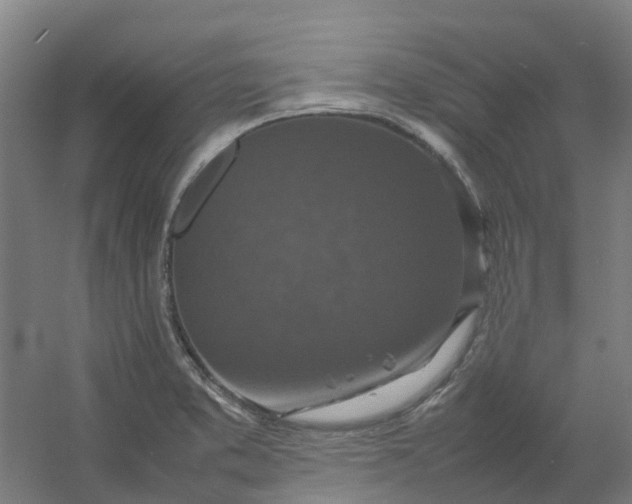 X0000054371373200508121529