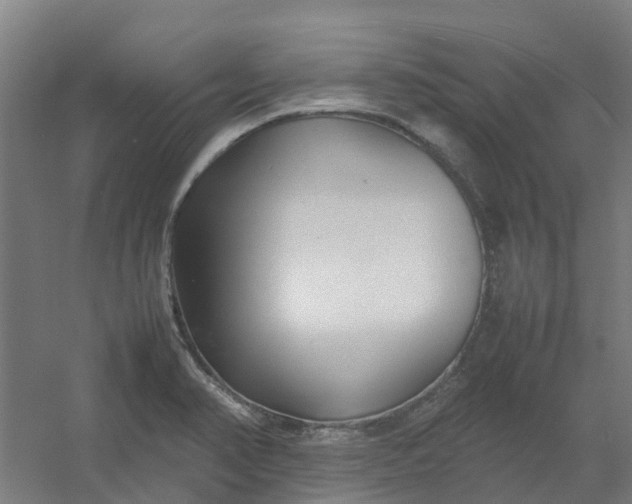 X0000054371374200508121529