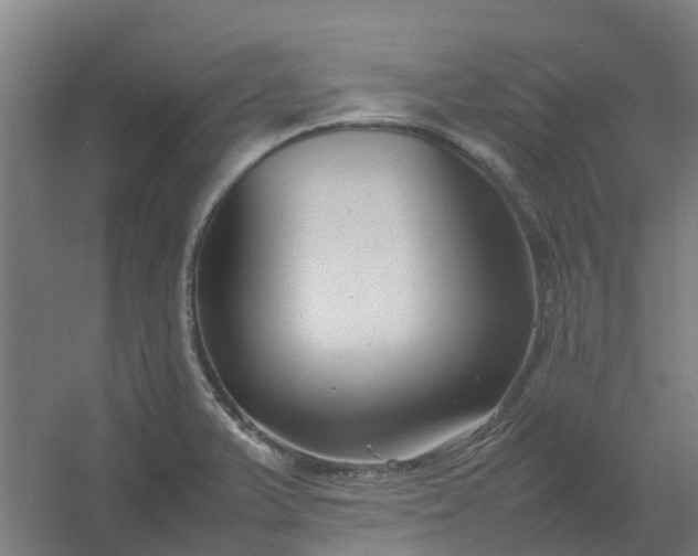 X0000054371375200508121529