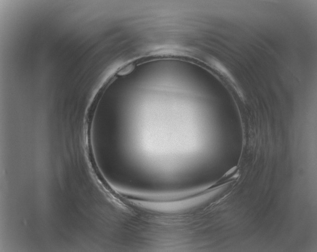 X0000054371376200508121529