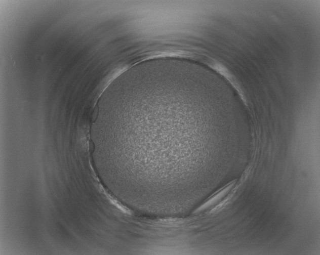 X0000054371377200508121529