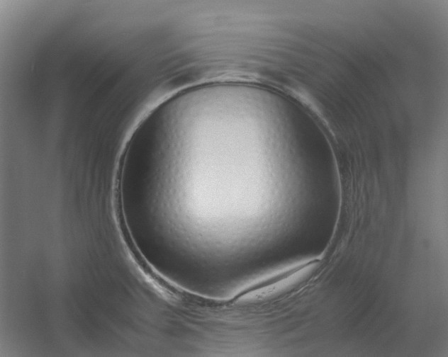 X0000054371379200508121529