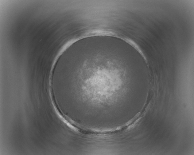 X0000054371381200508121529