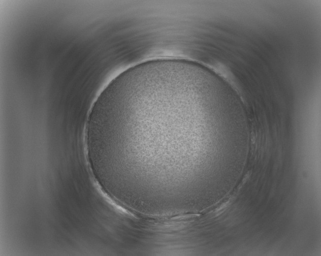 X0000054371382200508121529