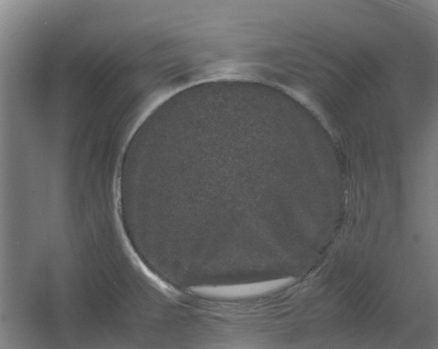 X0000054371383200508121529