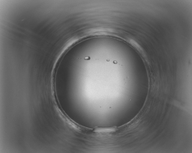 X0000054371384200508121529