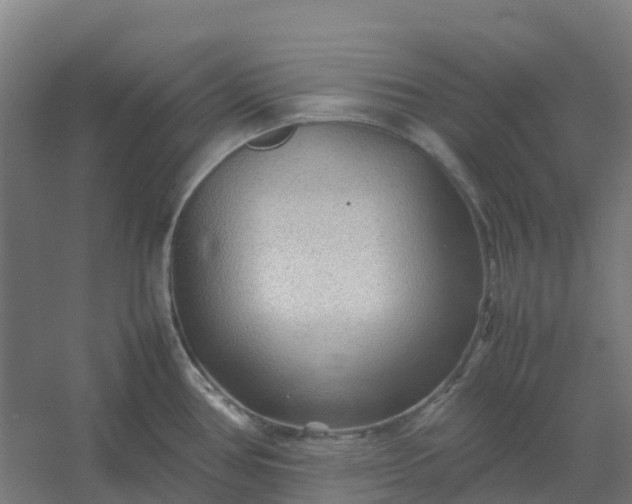 X0000054371386200508121529