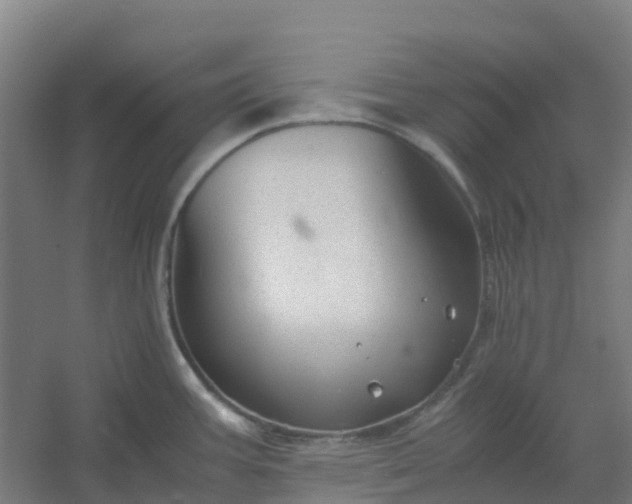 X0000054371387200508121529