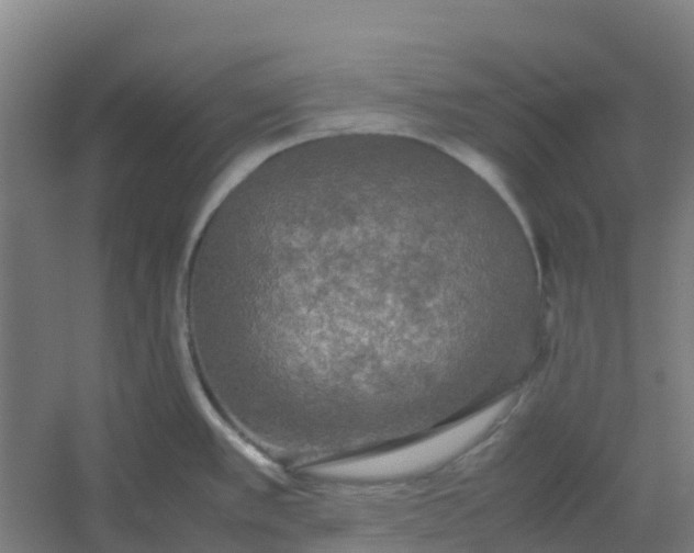 X0000054371389200508121529