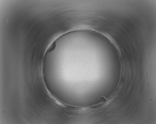 X0000054371390200508121529