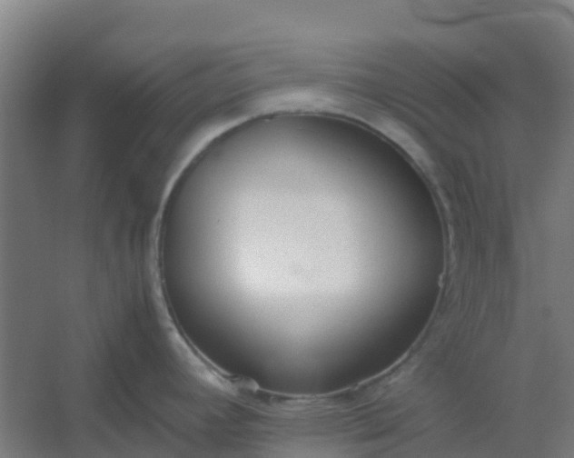 X0000054371392200508121529