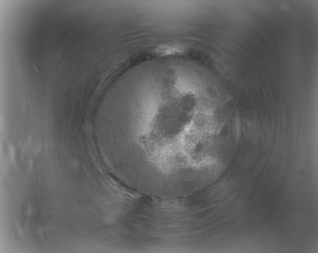 X0000054371393200508121528