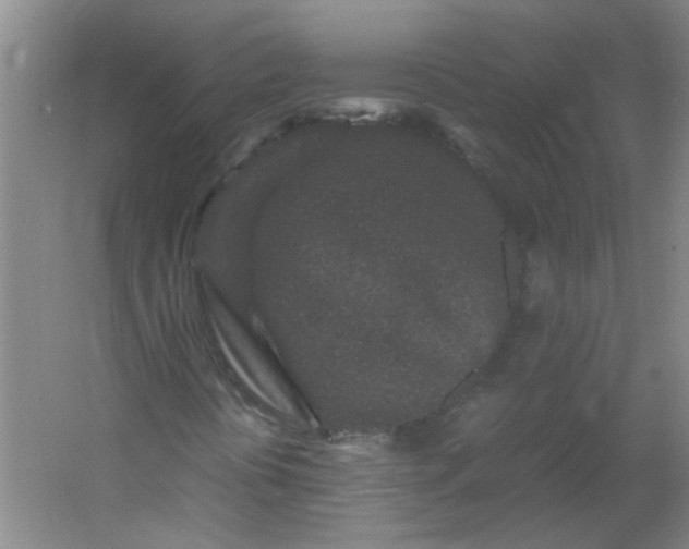 X0000054371394200508121528