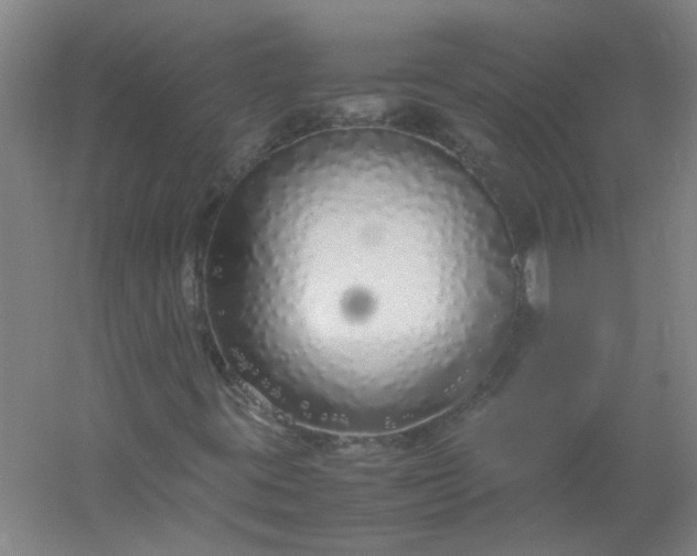 X0000054371395200508121528