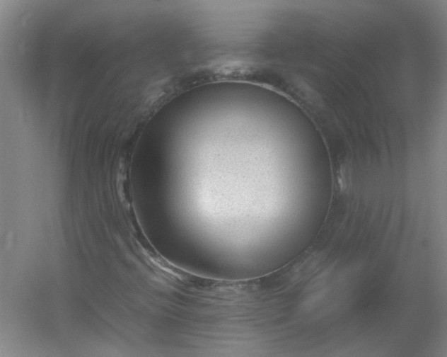 X0000054371396200508121528