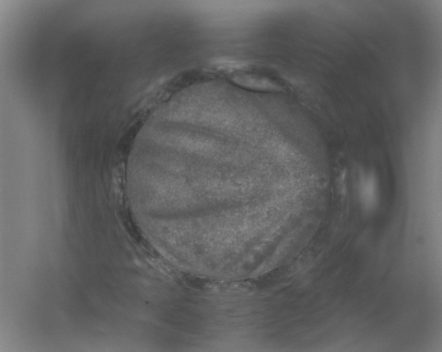 X0000054371397200508121528