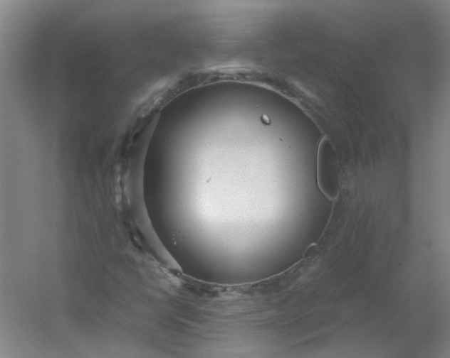 X0000054371398200508121528