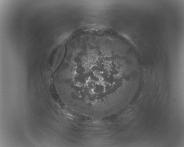 X0000054371399200508121528