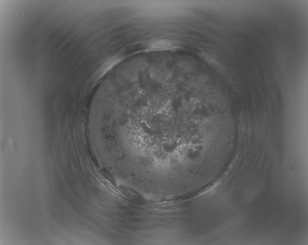 X0000054371401200508121528