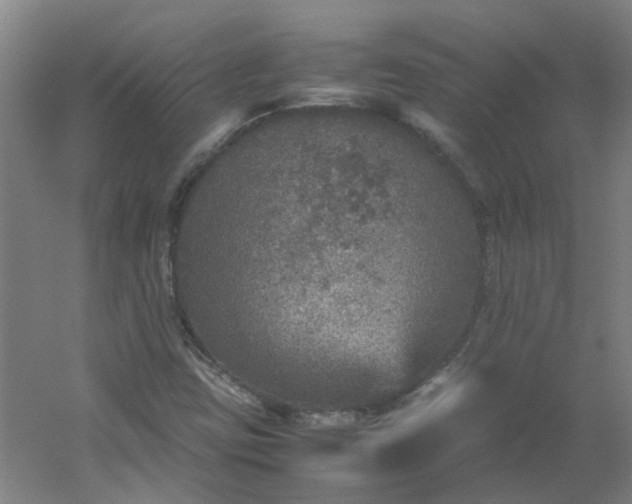 X0000054371403200508121528