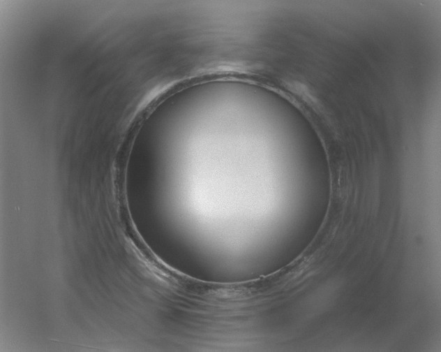 X0000054371404200508121528