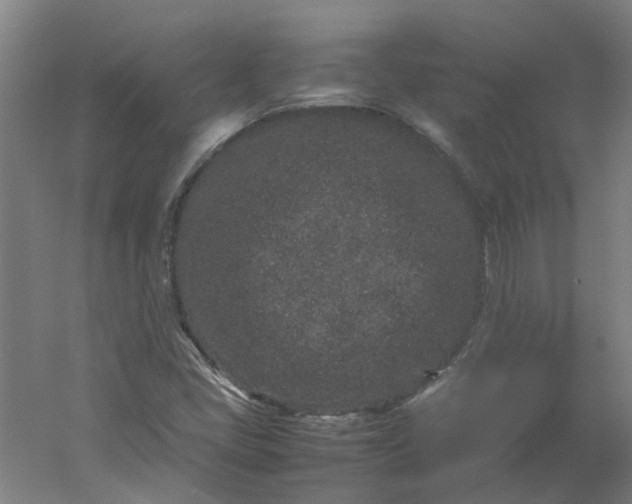 X0000054371405200508121528