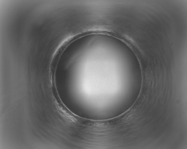 X0000054371408200508121528