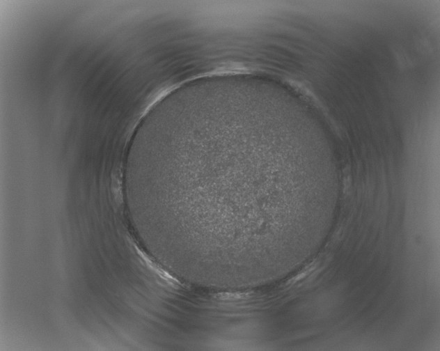 X0000054371409200508121528