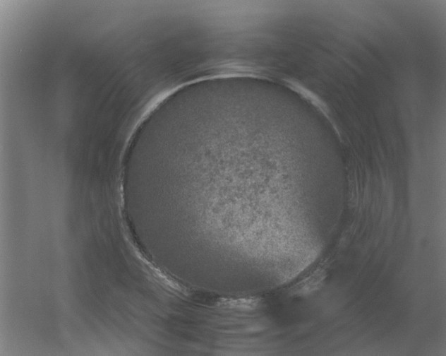 X0000054371415200508121528