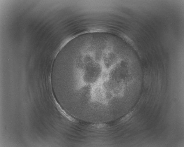 X0000054371417200508121528