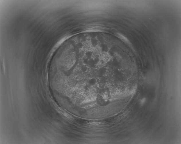 X0000054371419200508121528