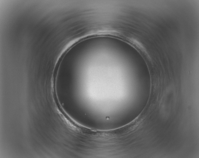 X0000054371420200508121528