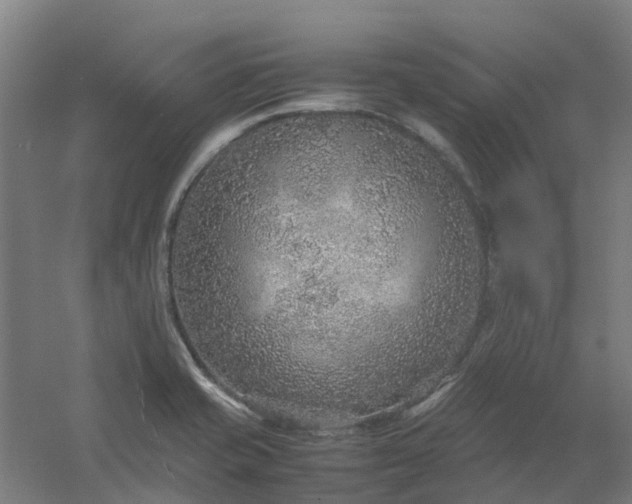 X0000054371421200508121528