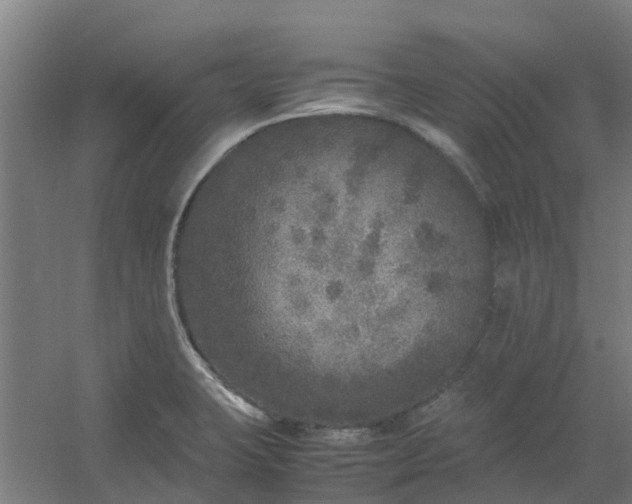 X0000054371423200508121528