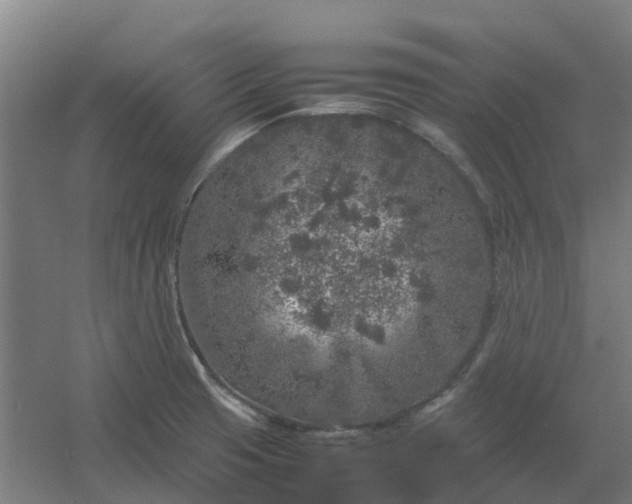 X0000054371425200508121528