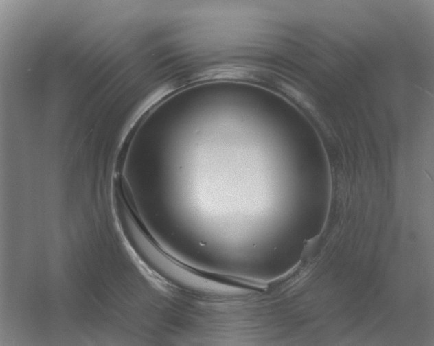 X0000054371426200508121528