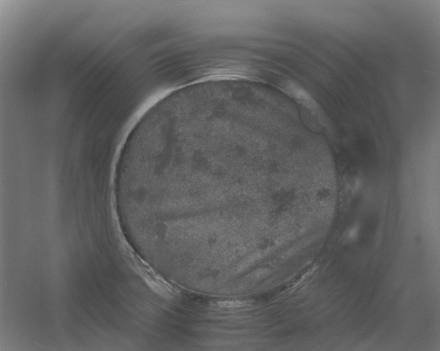 X0000054371427200508121528