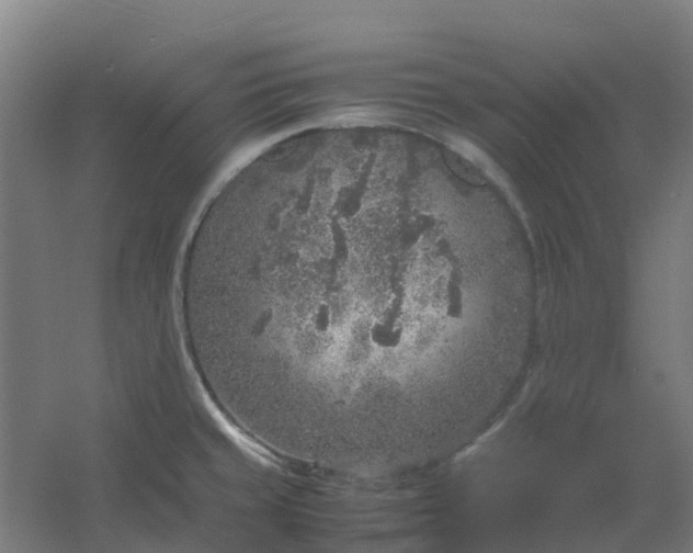 X0000054371429200508121528