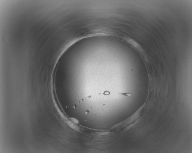 X0000054371431200508121528