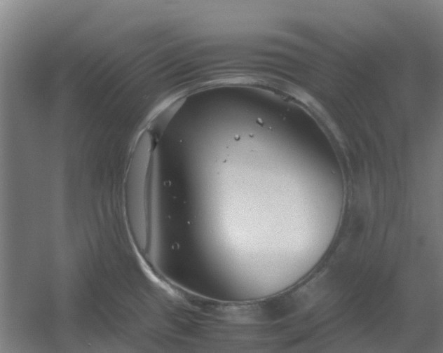 X0000054371433200508121528