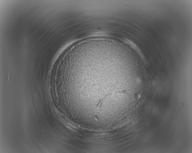 X0000054371435200508121528