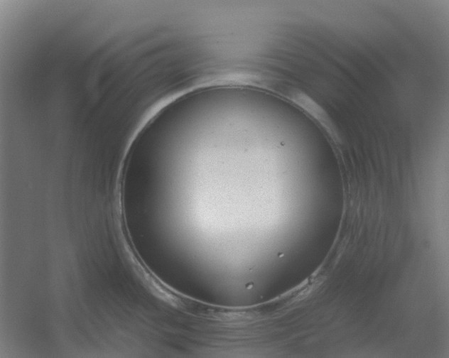 X0000054371436200508121528