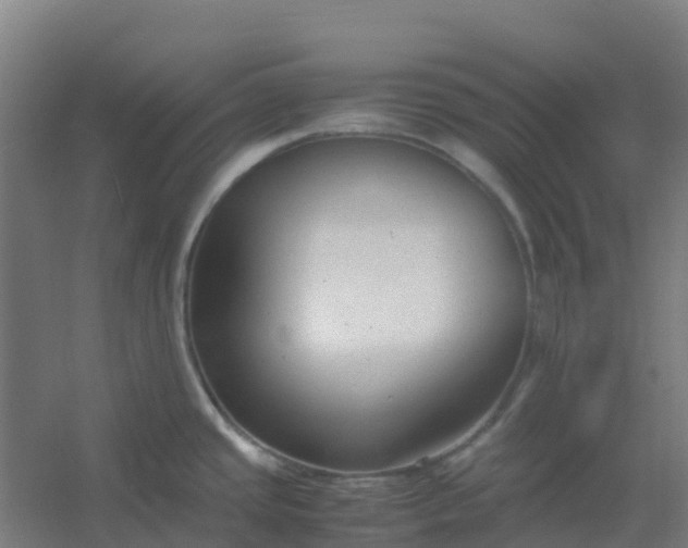 X0000054371437200508121528