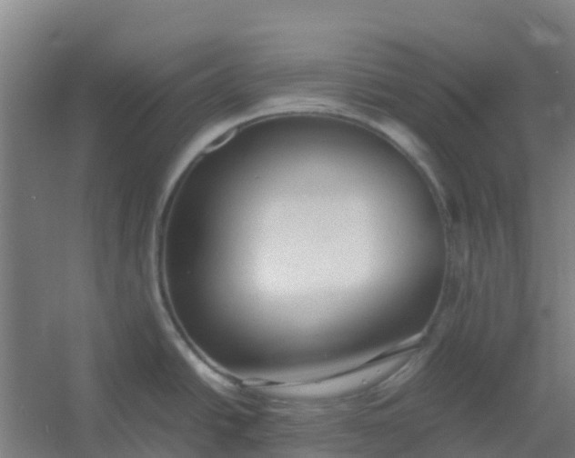 X0000054371438200508121529