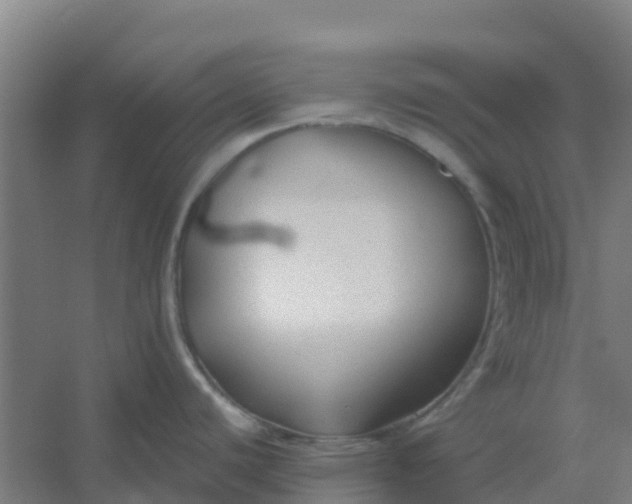 X0000054371440200508121529