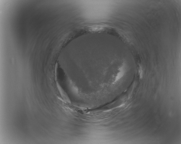 X0000054371441200508121528