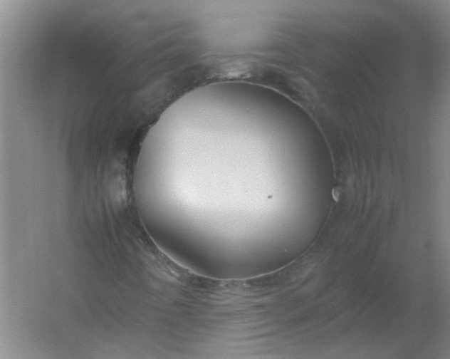 X0000054371442200508121528